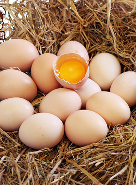 爱逛街为您找到生态鸡蛋相关的宝贝,您可以在下面的板块中挑选喜欢的