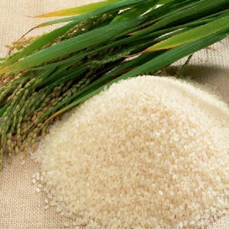 广西桂林炒米 小吃炒米花 恭城油茶阴米 生炒米 250g阴米10份包邮