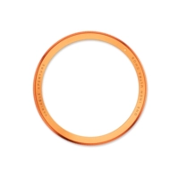 Оранжевое кольцо