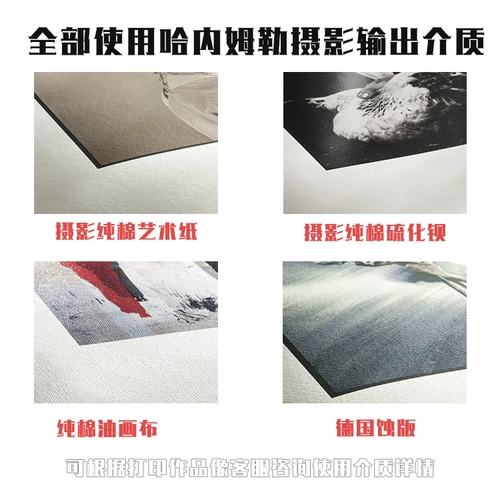 Индивидуальная Hanemler Photography Works Печать и вывод Art Micro распылитель