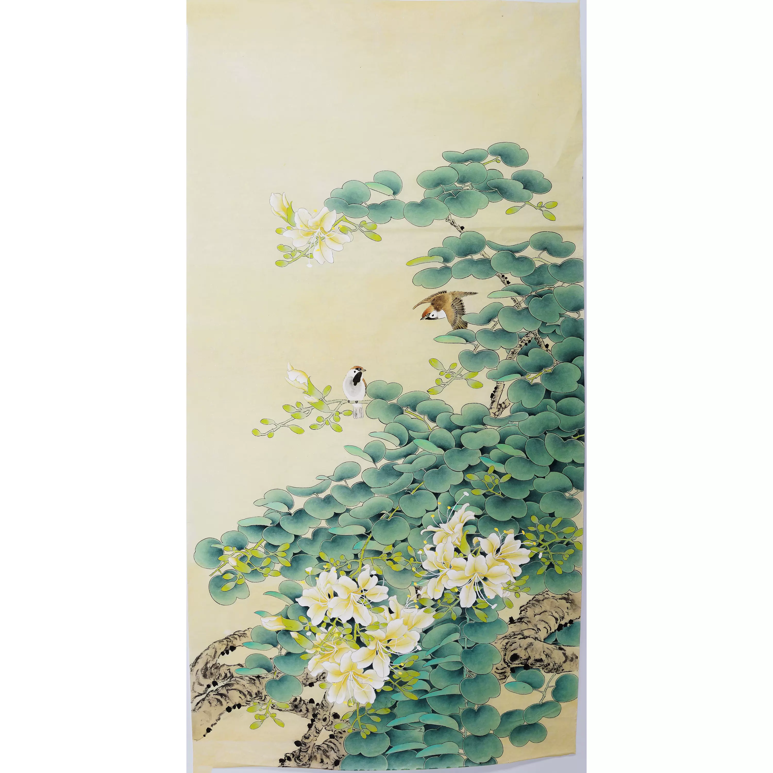 四尺精品工笔画纯手绘花鸟画国画春景玉兰花无款画没题款00457-Taobao