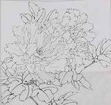Оригинальная большая версия Peony Sketch Gongbi, первого ученых китайской картины, проект проекта проекта проекта драфта 8 Open 4 Open