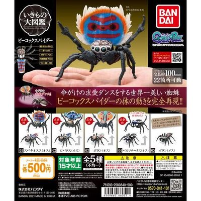 taobao agent Spot Bandai Bandai Genuine Biological Biot Book Peacock Spider Hand -Move Model Model Garlette