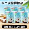 南国！椰奶清补凉245g&times;6罐