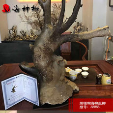 Морская раковина