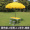 黄色桌+2铝凳+2.4米伞+底座