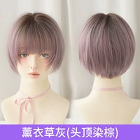 Lavender Grey (коричневый на макушке)