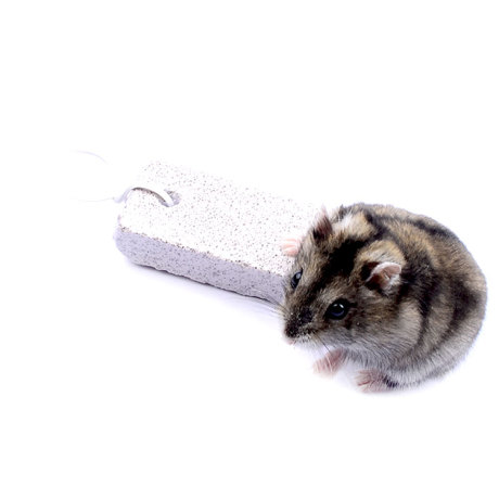 marsa玛莎仓鼠磨牙兔子磨牙棒磨牙石磨牙小仓鼠用品仓鼠磨牙棒