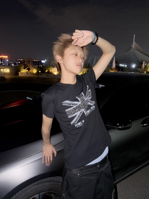 LEOPARD FLAG GRAPHIC T-SHIRT image 7