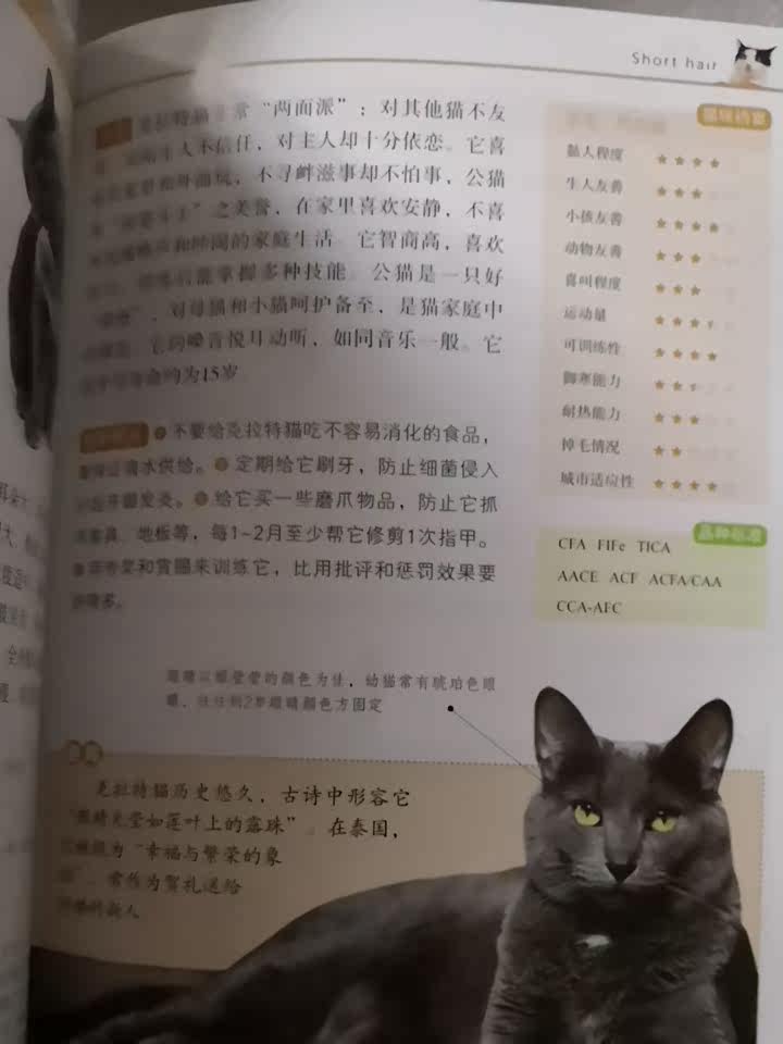64种名猫名猫图片宠物猫饲养猫品种鉴赏世界名猫图鉴养猫指南猫咪百科猫咪喂养养猫手册猫彩色图谱选猫知识驯养饲养