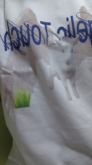 ANGEL LAMB ASIAN CASUAL T-SHIRT image 12