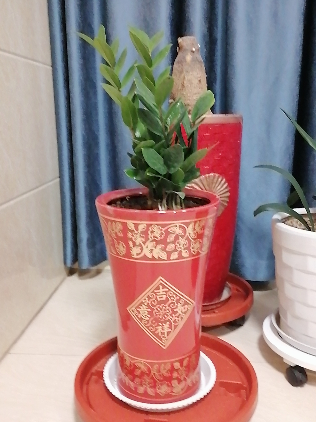 特大码花盆陶瓷中国风红色种花开富贵客厅落地深高金钱树特价清仓- Taobao