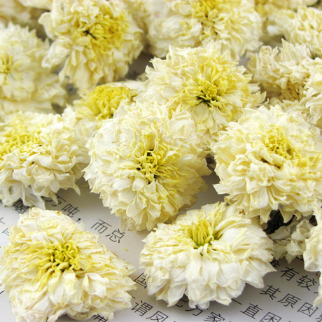 黄山贡菊特级菊花茶黄山白菊花茶徽友牌11月采徽菊125gx2袋送皇菊