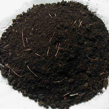 东北原始森林腐质黑土营养土乌黑冒油适合园艺绿地盆栽