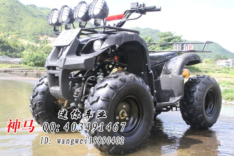 

OTHER ATV 125