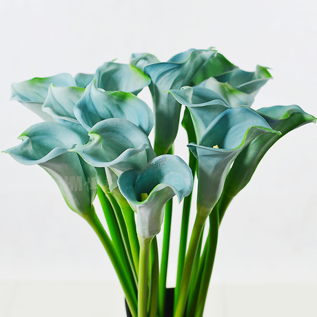 您可以在下面的板块中挑选喜欢的宝贝 热卖手感大马蹄莲 仿真花绢花