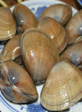 爱逛街为您找到丹东海鲜相关的宝贝,您可以在下面的