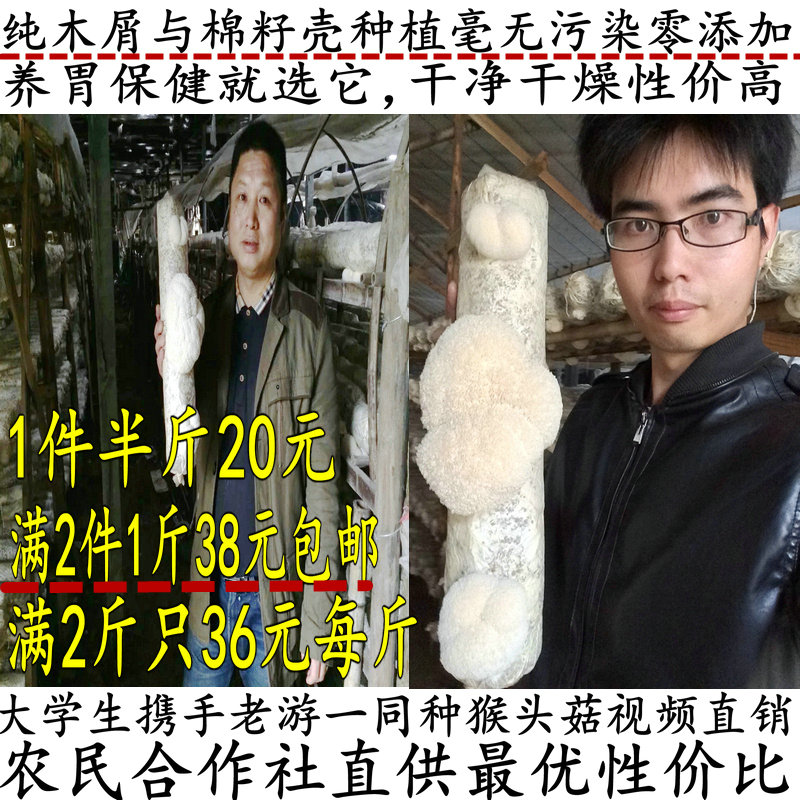 

Hericium 250