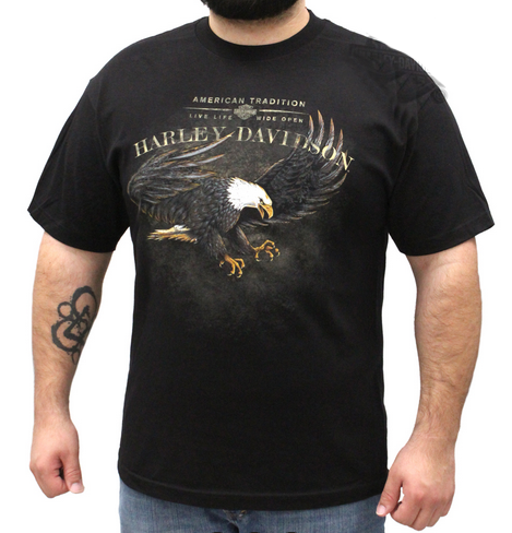 

Футболка мужская Harley Davidson 1542