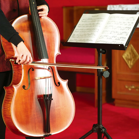 爱逛街为您找到实木手工大提琴相关的宝贝,您可以在