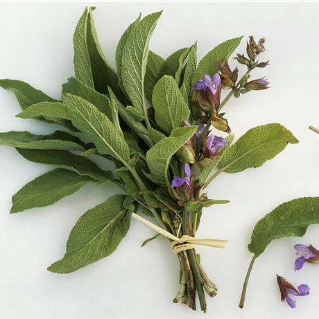 爱逛街为您找到鼠尾草纯露相关的宝贝,您可以在下面的板块中挑选喜欢