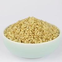 Новый коричневый рис прорастал коричневый рис.