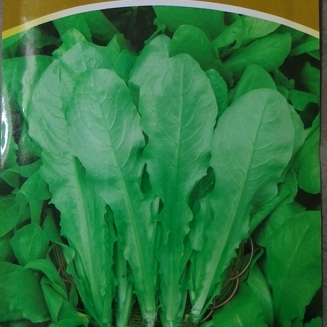 爱逛街为您找到香菜种子相关的宝贝,您可以在下面的板块中挑选喜欢的