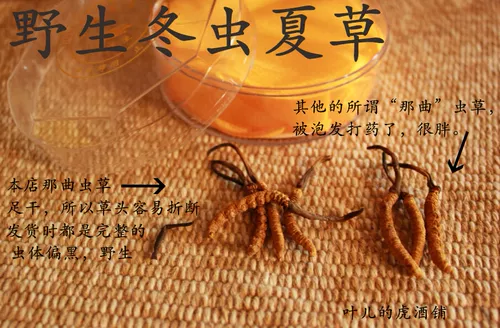 Cordyceps Sinensis производится в обеспечении качества района в Нак, Тибет