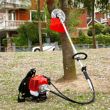 您可以在下面的板块中挑选喜欢的宝贝 菜多美 割草机二冲程背负式割
