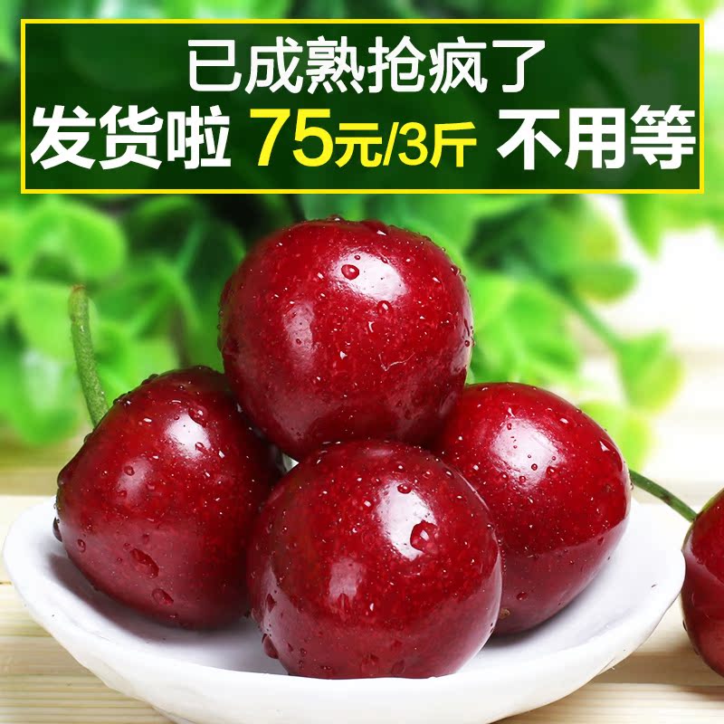 

Вишня / Cherry
