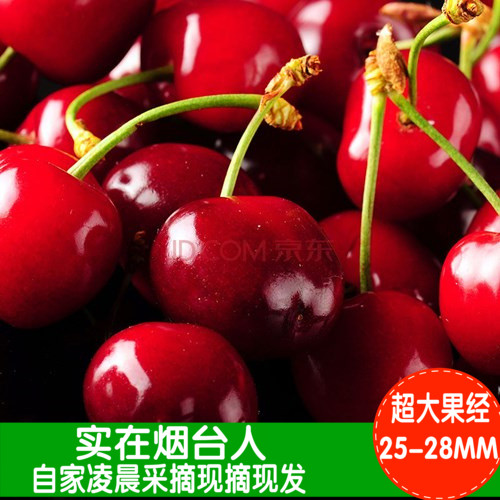 

Вишня / Cherry