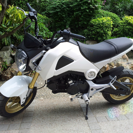 爱逛街为您找到小猴子摩托车相关的宝贝,您可以在下面的板块中挑选