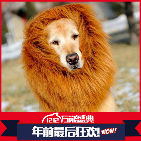 宠物狮子假发大狗围脖 金毛假发 宠物头饰头套配饰发饰变身装