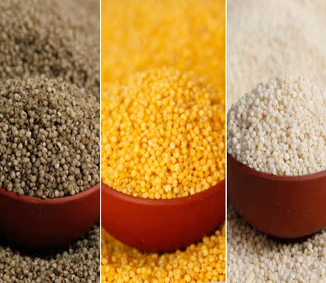 河峪三色小米1300g 山西杂粮黄小米黑小米白小米无添加