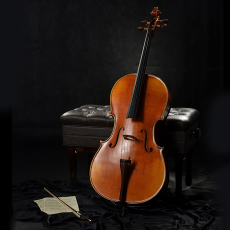 爱逛街为您找到实木手工大提琴相关的宝贝,您可以在下面的板块中挑选