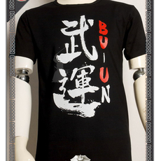 Форма для Кендо 天之武 武运 和风纯棉短袖印染书法黑t恤白字/剑道时装--新品特价