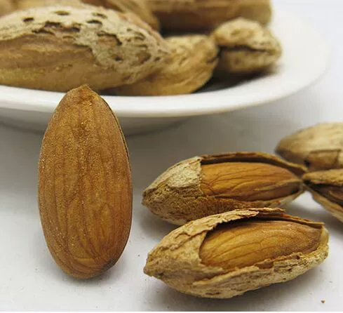 [Новая бесплатная доставка для перевозчика] Оригинальная Shengba Danmu Paper Pattoo Patan 500G Nuts закуски