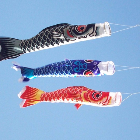 网站地图 日本鲤鱼旗 爱逛街为您找到日本鲤鱼旗相关的宝贝,您可以在