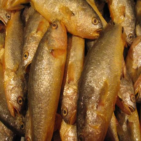 爱逛街为您找到青岛鱼相关的宝贝,您可以在下面的板块中挑选喜欢的