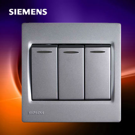 

Выключатель двухклавишный Siemens