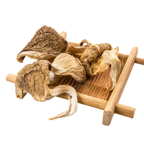 裕泰野生北风菌 云南特产食品 山珍蘑菇食用菌干货煲汤鲜美150克