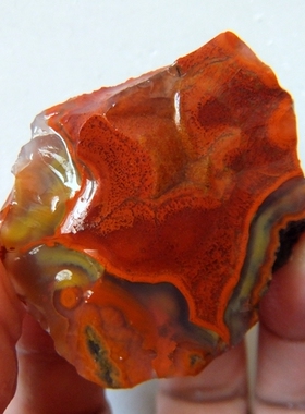 爱逛街为您找到珊瑚化石相关的宝贝,您可以在下面的板块中挑选喜欢的