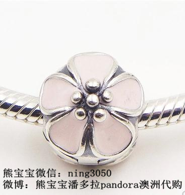 

Украшение "Сделай сам" Pandora 791041EN40