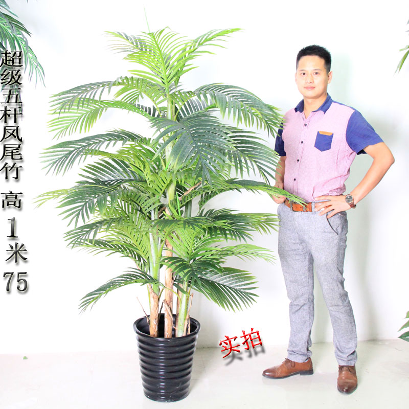 

Искусственный газон Simulation of plant in Green Island gardens 5 fernleaf