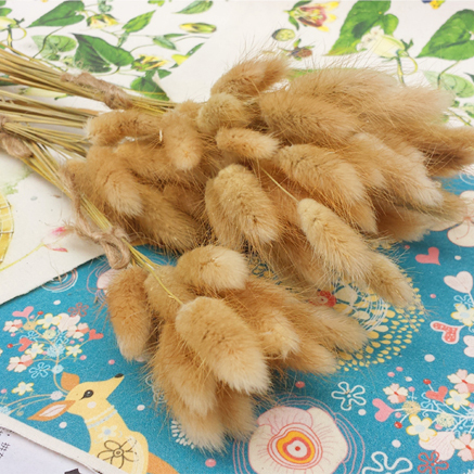 爱逛街为您找到干花干草相关的宝贝,您可以在下面的板块中挑选喜欢的