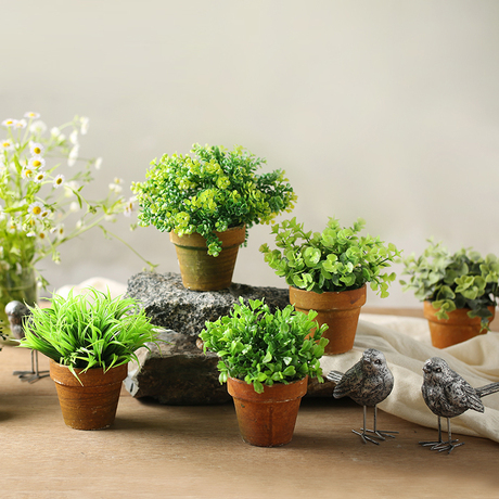 爱逛街为您找到盆景花卉相关的宝贝,您可以在下面的板块中挑选喜欢的