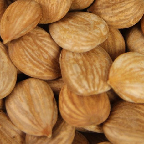 原味甜南杏仁新疆特产无壳杏仁肉天然野生500克非巴旦木满2件包邮