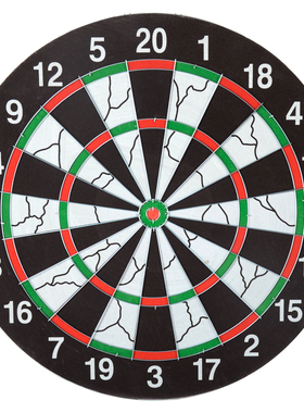 飞镖盘 飞镖靶 专业18寸套装植绒双面儿童成人针飞标 健力王飞镖