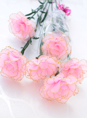 发布了  包邮妈妈生日礼物手工丝网花丝袜花成品花diy康乃馨花套餐