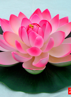 爱逛街为您找到套装莲花相关的宝贝,您可以在下面的板块中挑选喜欢的